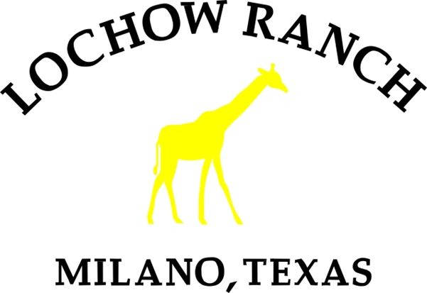 A yellow giraffe with black text.