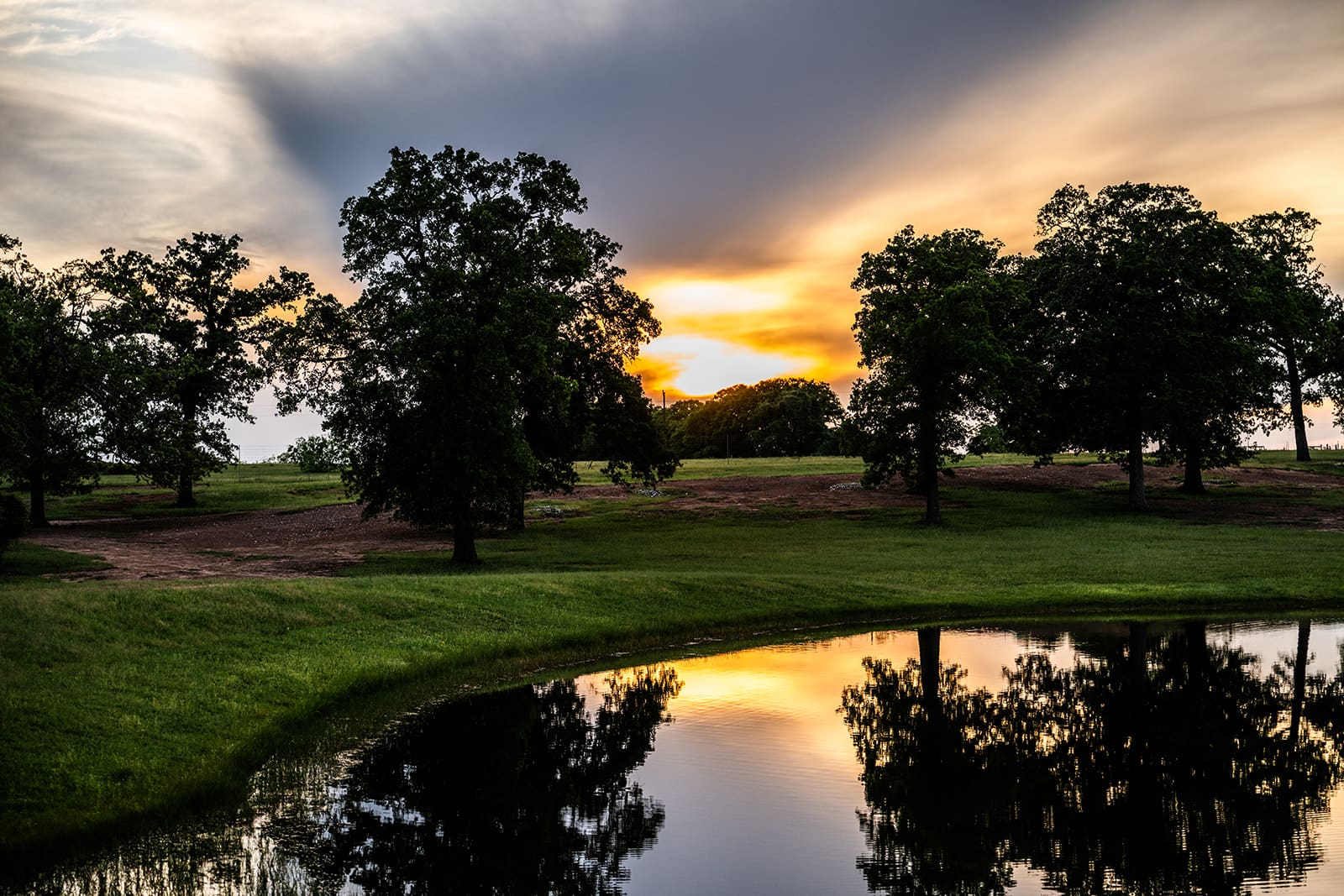 Sunset over a reflective pond with silhouetted trees.
