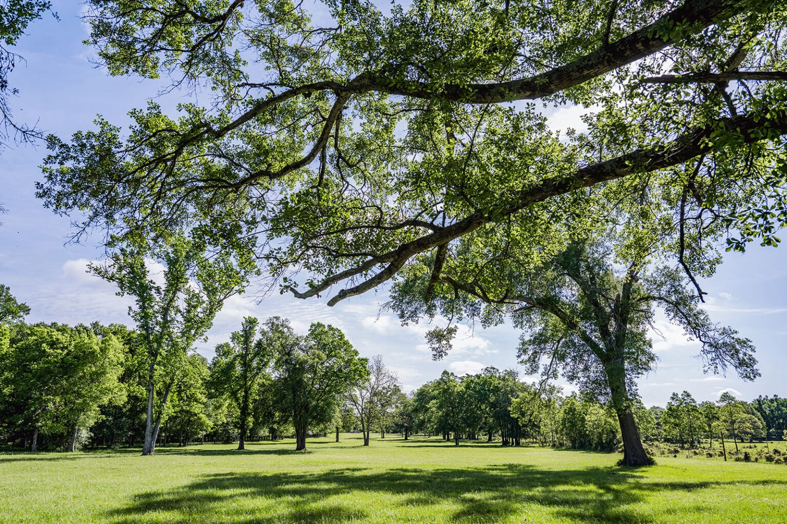 Lo Ranch Texas Equestrian Retreat Ranch | Lochow Ranch Equestrian