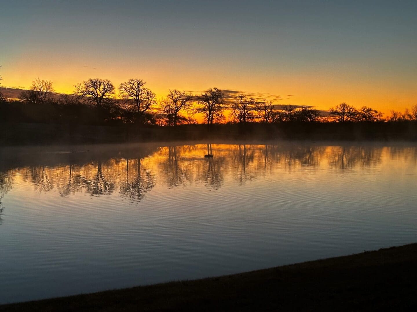 Sunset reflecting on a calm lake with silhouetted trees.