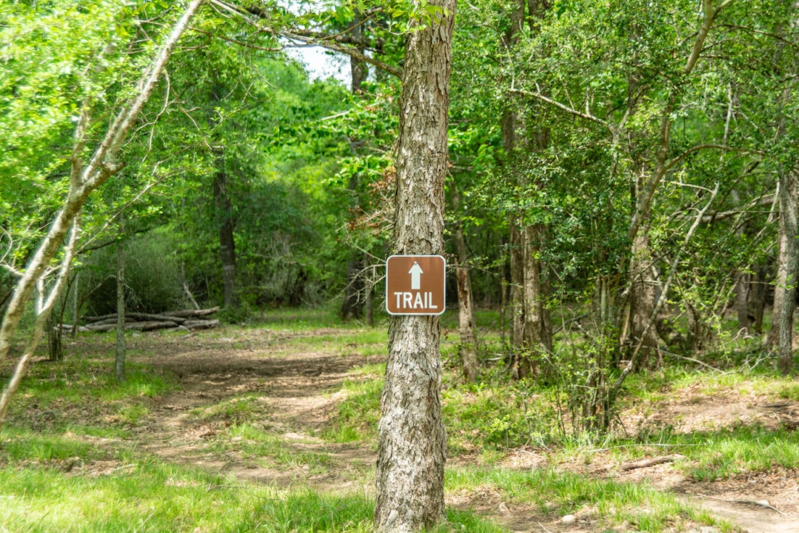 Trail sign on tree in wooded area