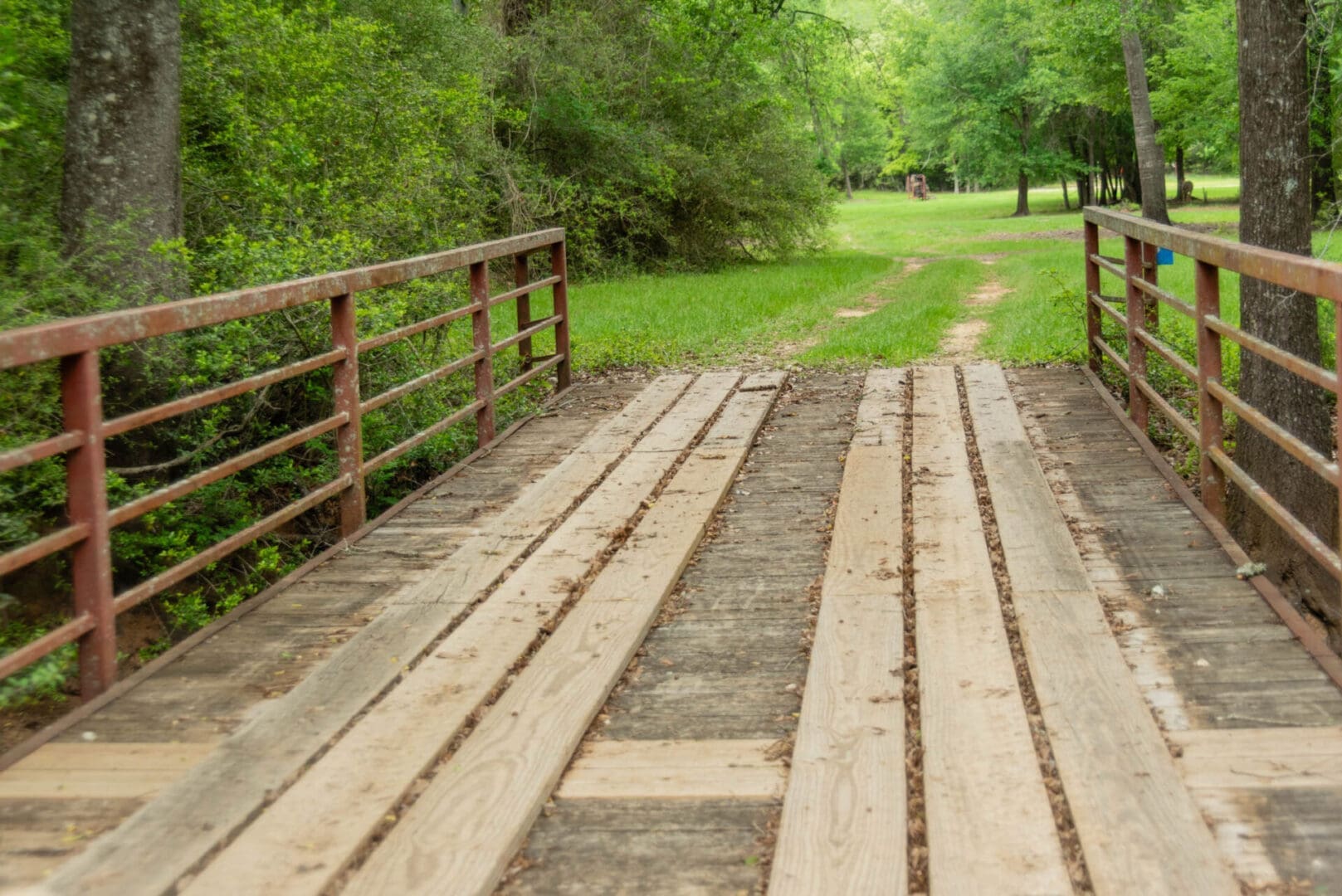 Rustic wooden bridge leading to grassy path
