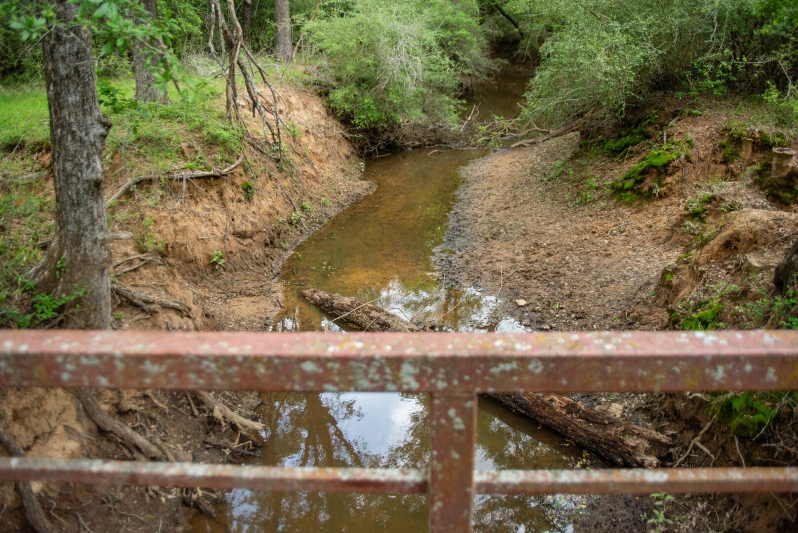 Rusty bridge railing over shallow wooded creek