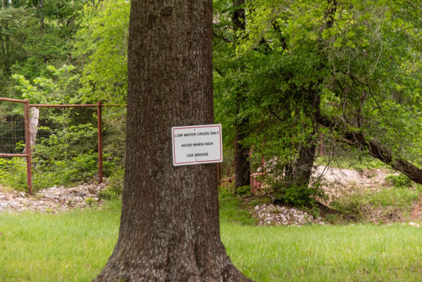 Tree trunk with low water crossing sign