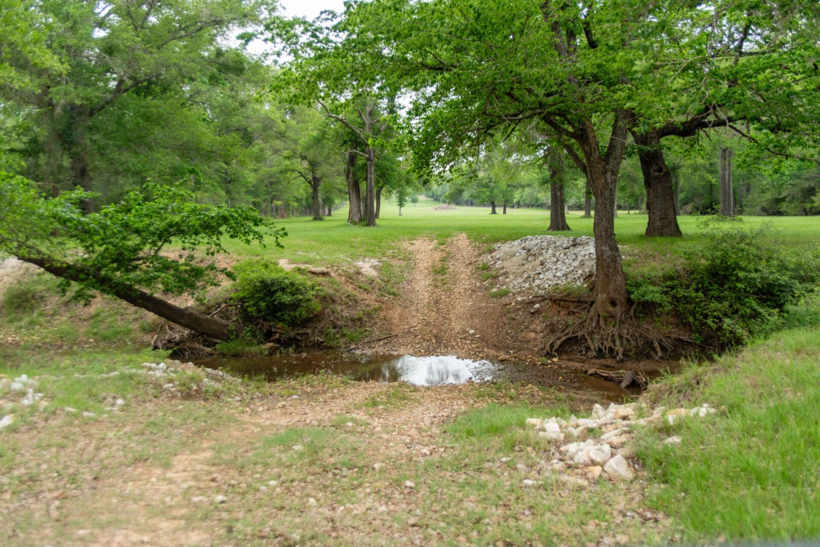 Shallow creek and tree-lined dirt path